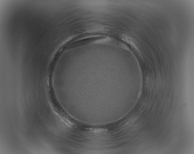 X0000070230539200606021350