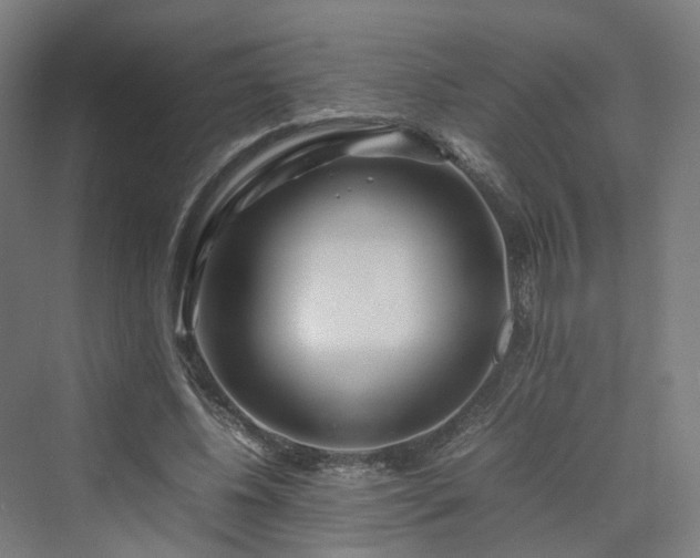 X0000070230540200606021350