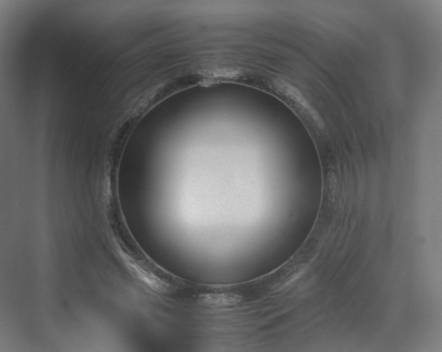 X0000070230541200606021350