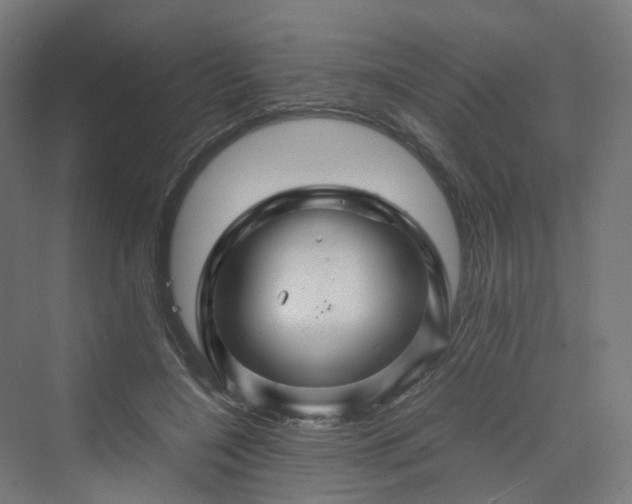 X0000070230548200606021350