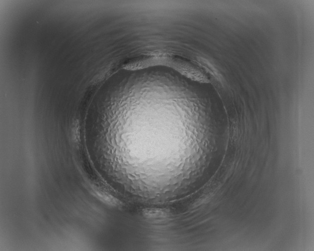 X0000070230549200606021350