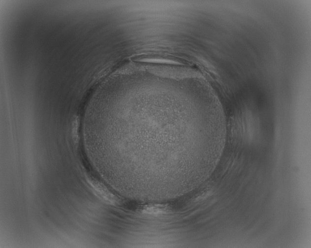 X0000070230550200606021350