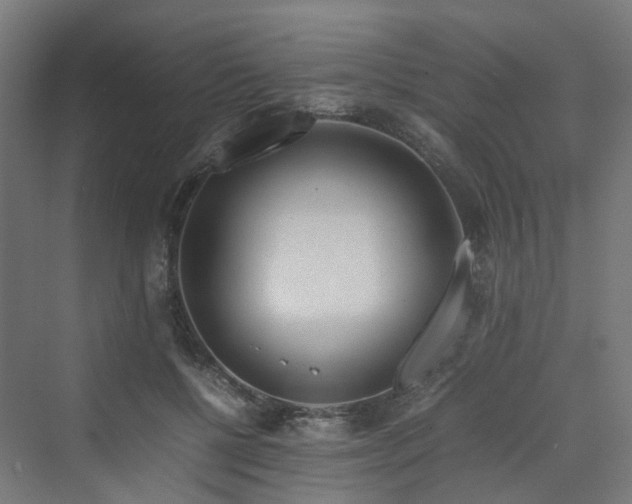 X0000070230552200606021350