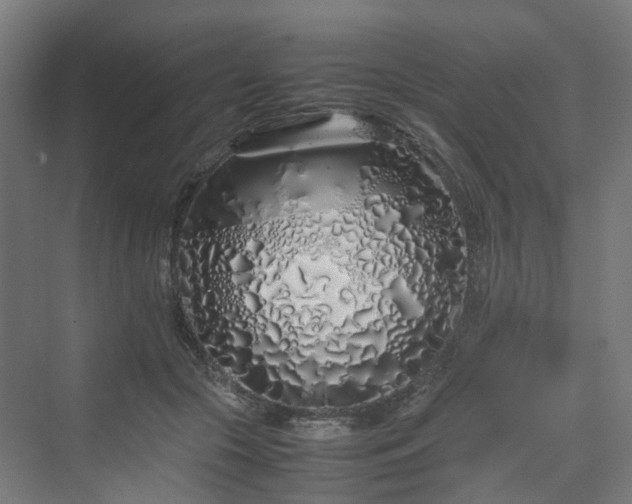 X0000070230553200606021350