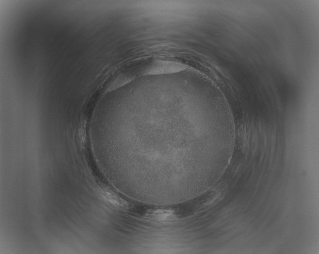 X0000070230554200606021350