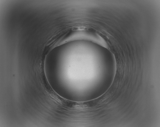 X0000070230556200606021350