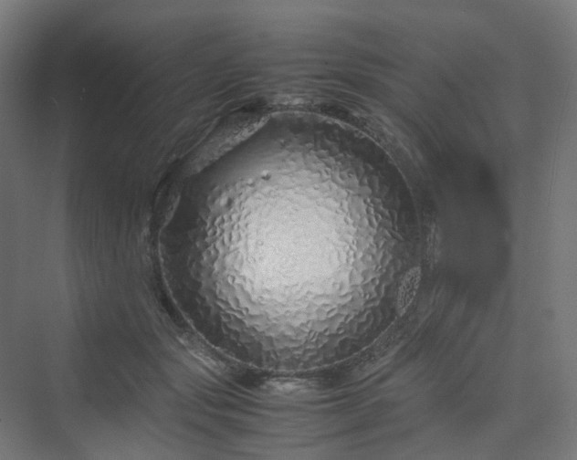 X0000070230557200606021350