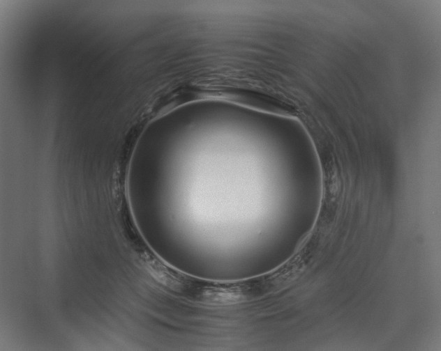 X0000070230559200606021350