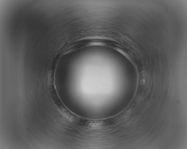 X0000070230560200606021350