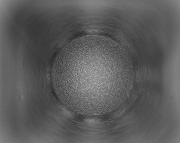 X0000070230561200606021350