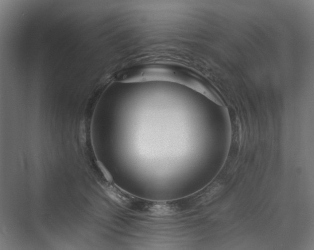 X0000070230562200606021350