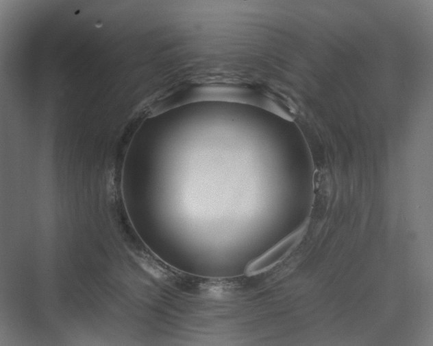 X0000070230564200606021350