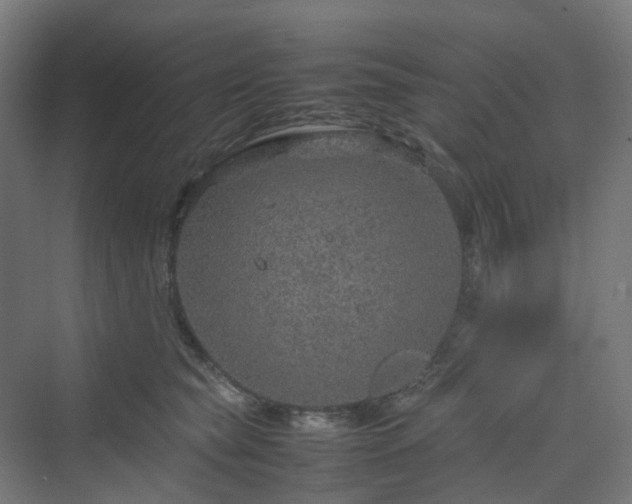 X0000070230565200606021350