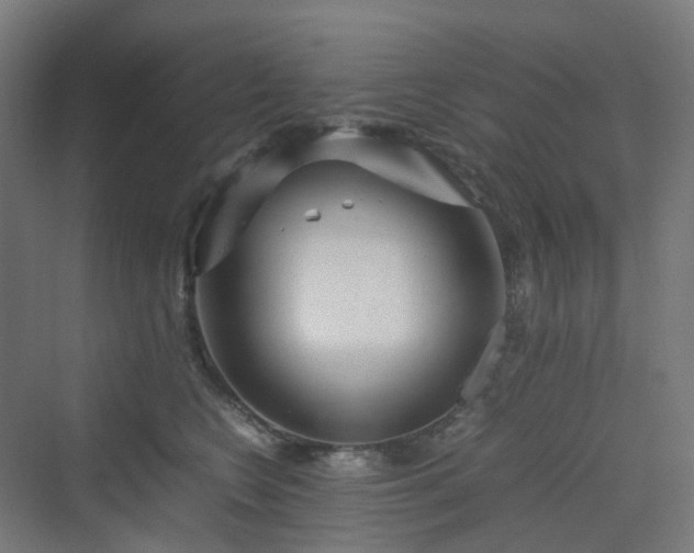 X0000070230566200606021350