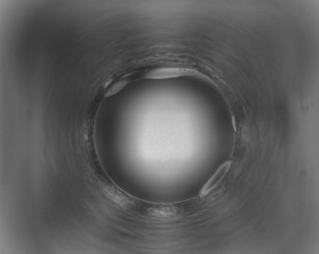 X0000070230567200606021350