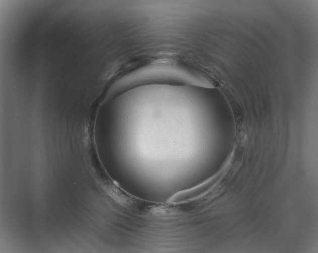 X0000070230568200606021350