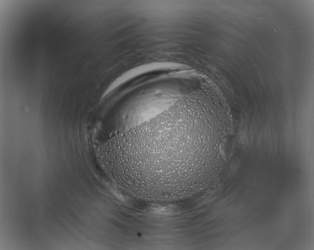 X0000070230569200606021350