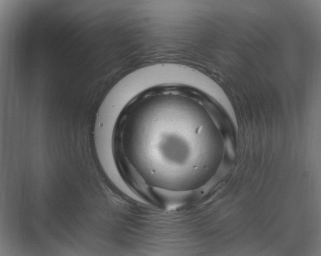 X0000070230570200606021350