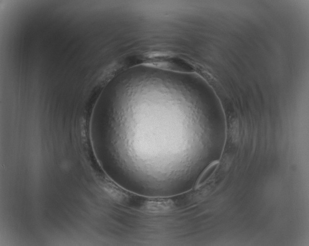 X0000070230571200606021350