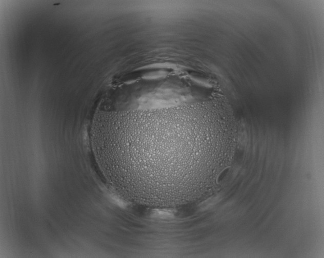 X0000070230573200606021350