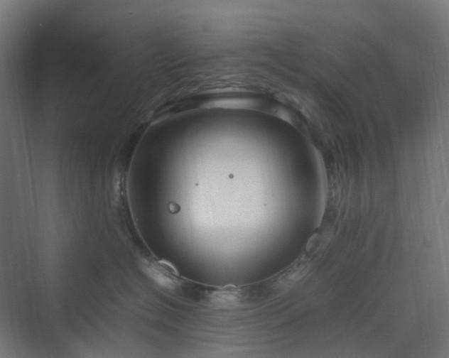 X0000070230574200606021350