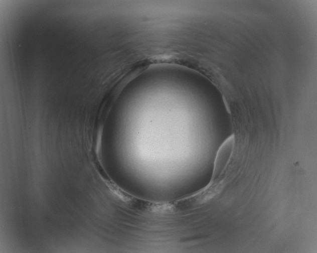 X0000070230576200606021350