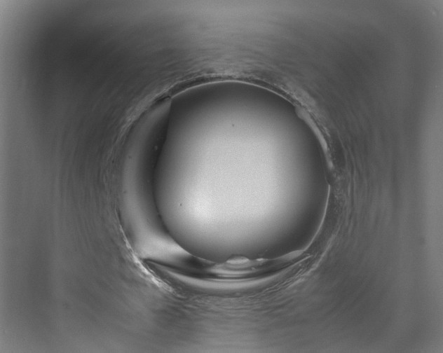 X0000070230577200606021349