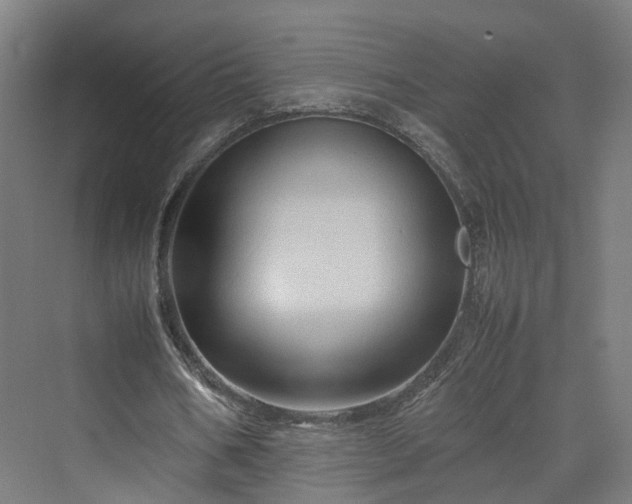 X0000070230578200606021349