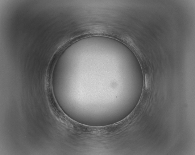 X0000070230579200606021349