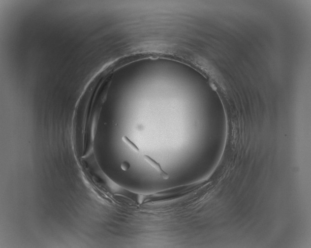 X0000070230580200606021349