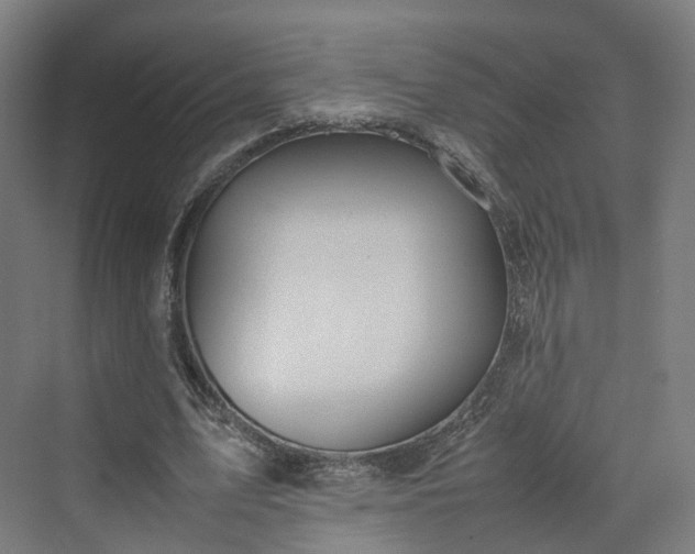 X0000070230583200606021349