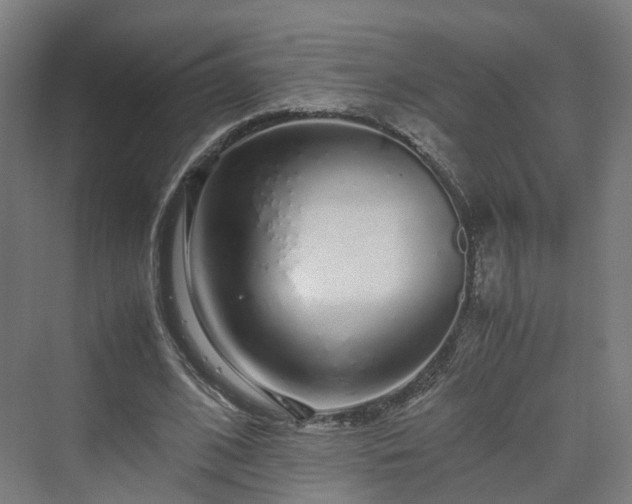 X0000070230584200606021349