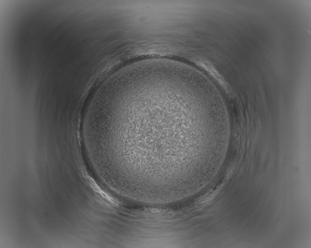 X0000070230585200606021349