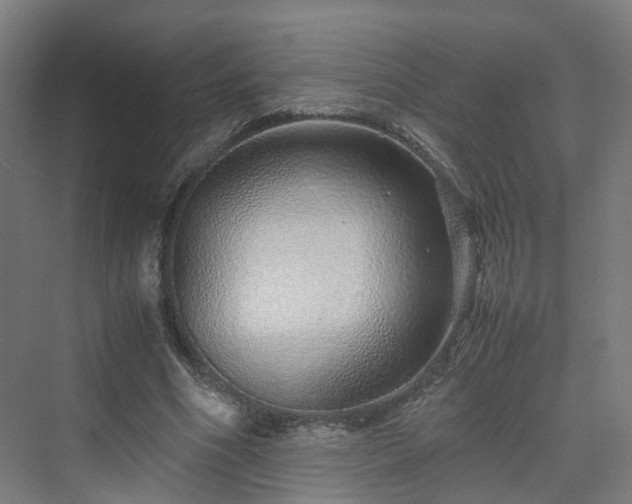 X0000070230586200606021349