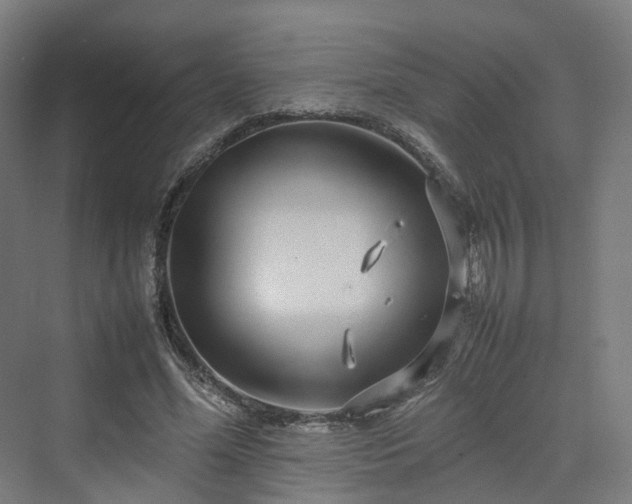 X0000070230588200606021349