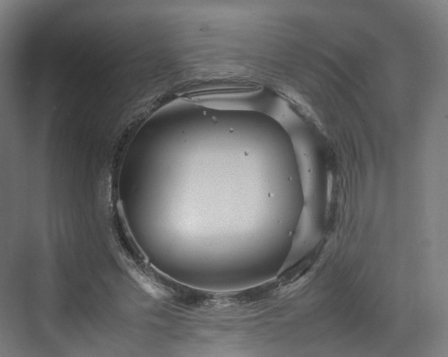 X0000070230589200606021349