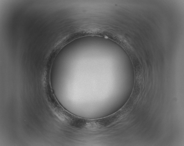 X0000070230591200606021349