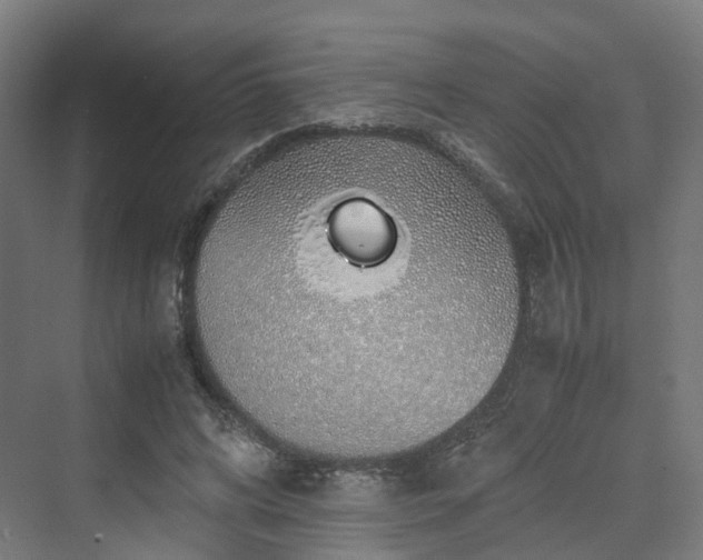 X0000070230592200606021349