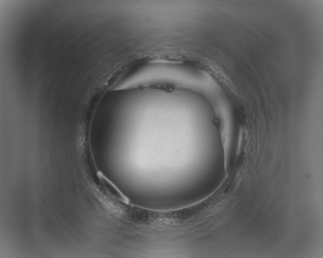 X0000070230593200606021349