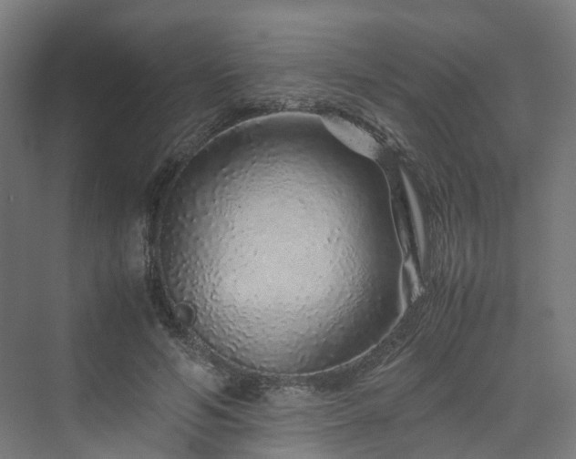 X0000070230594200606021349