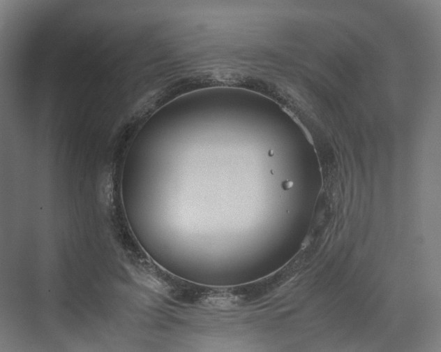 X0000070230595200606021349