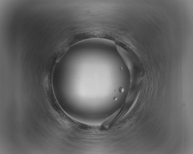 X0000070230597200606021349