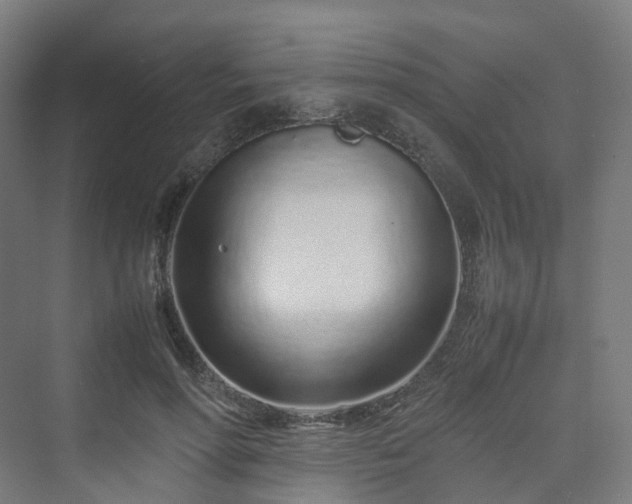 X0000070230598200606021349