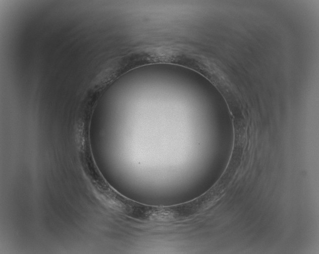 X0000070230599200606021349