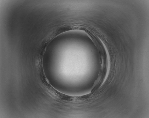 X0000070230601200606021349