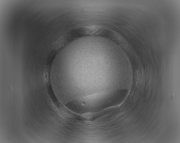 X0000070230602200606021349