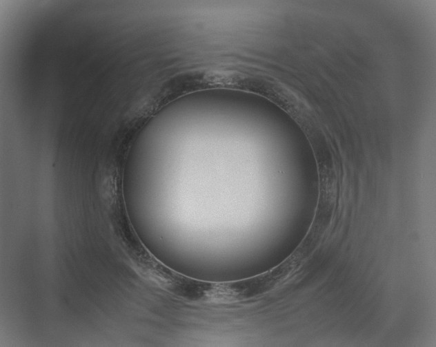 X0000070230603200606021349