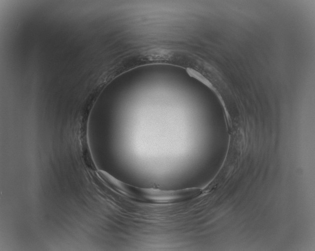 X0000070230604200606021349