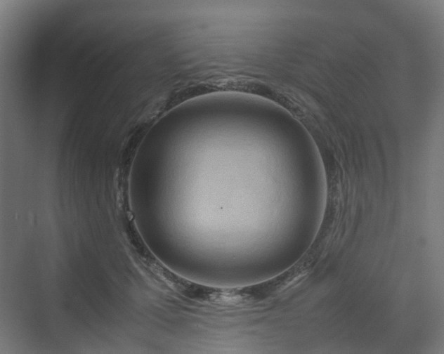 X0000070230607200606021349