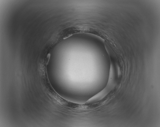 X0000070230609200606021349